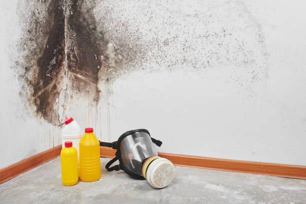 Best Water Damage Restoration  in Graham, WA