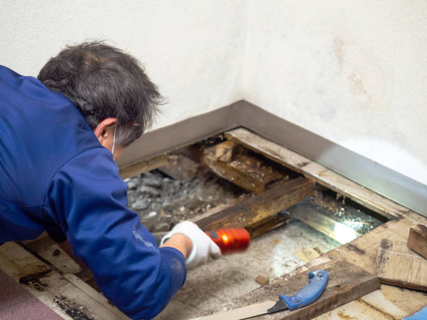 Best Mold Testing  in Graham, WA