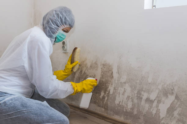 Best Certified Mold Removal  in Graham, WA