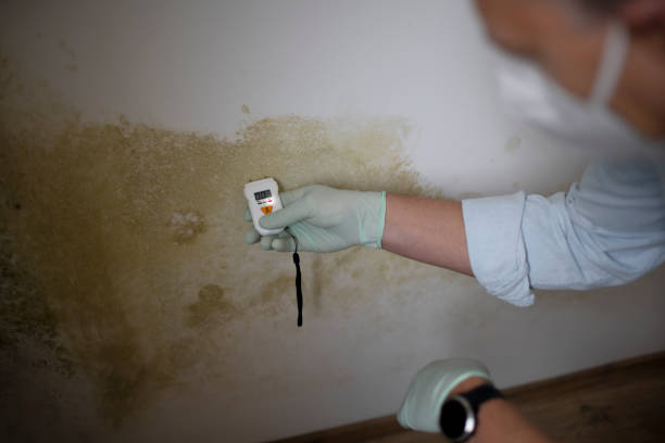 Best Crawl Space Mold Removal  in Graham, WA