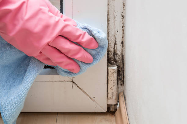 Best Mold Testing  in Graham, WA